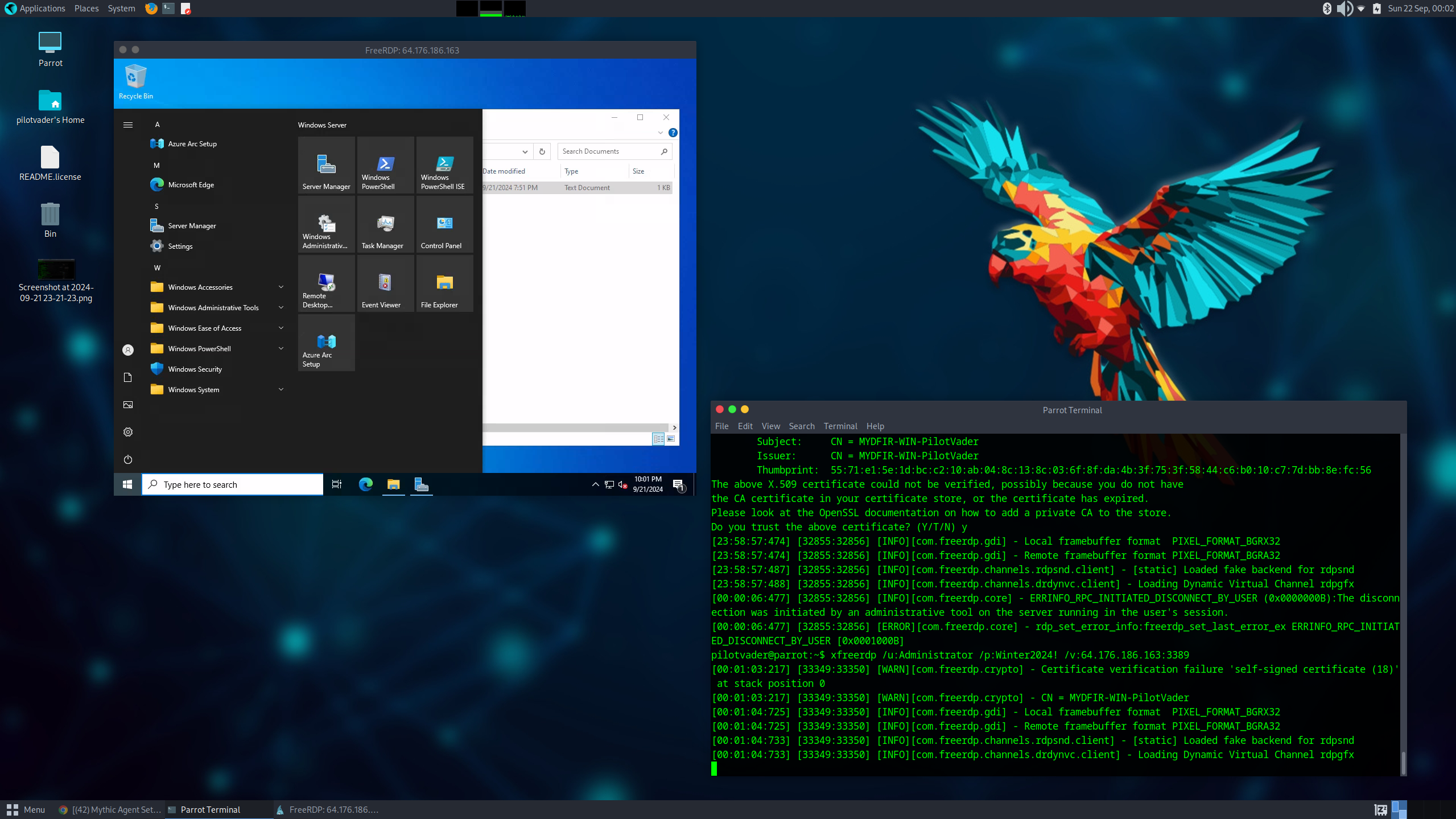 RDP Connection to Windows Server from Parrot